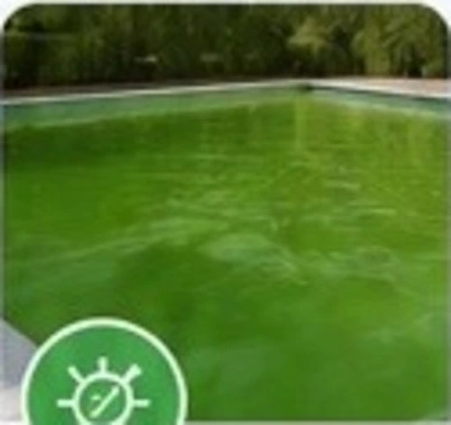 Acqua verde
